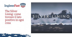 The Silver Lining: come trovare il lato positivo in ogni cosa