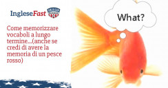 Come memorizzare vocaboli a lungo termine…(anche se pensi di avere la memoria di un pesce rosso)